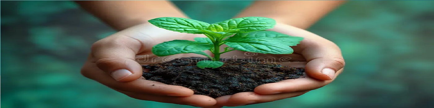 web development company in Noida, web design services India, app development company India, software development company in India